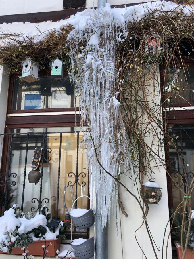 Am Mathildenbrunnen Gross Apartment Quedlinburg Exterior photo